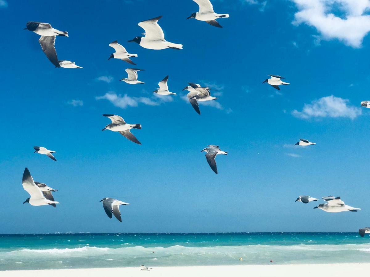 Villa Bella 3Br Wifi Bikes Beach Access (Adults Only) Playa del Carmen Buitenkant foto